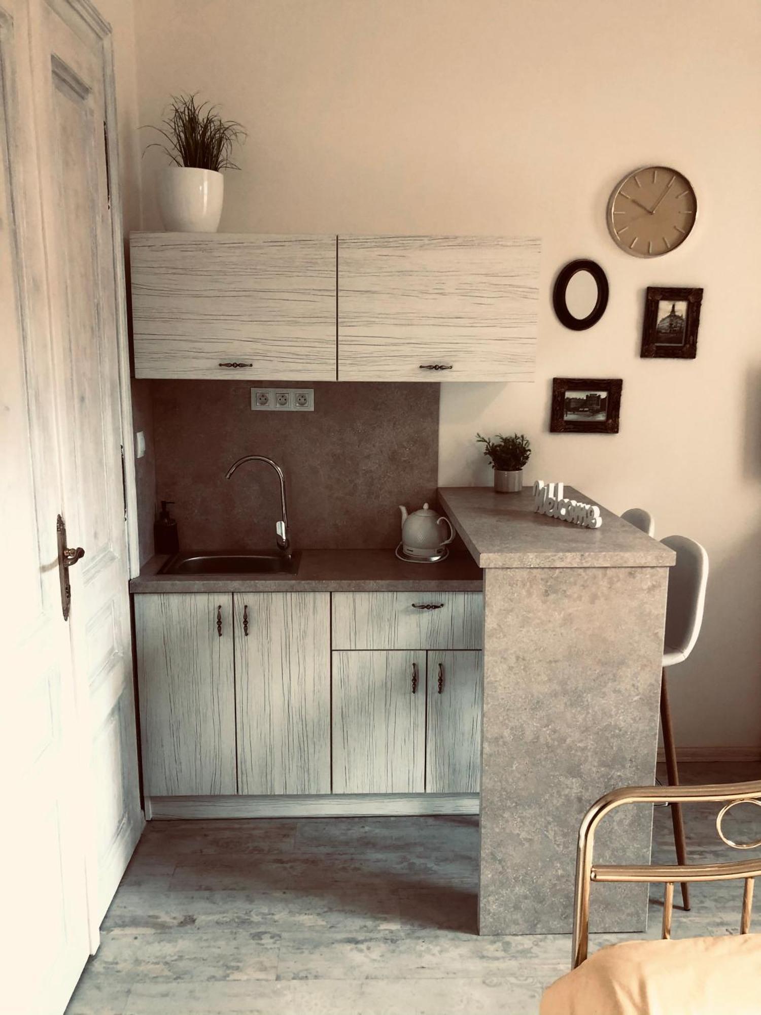 Tomas Apartments Silver カルロヴィ・ヴァリ エクステリア 写真